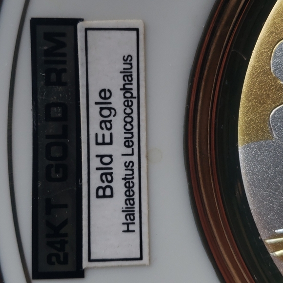 DYNASTY GALLERY. BALD EAGLE PLATE. - Picture 6 of 16